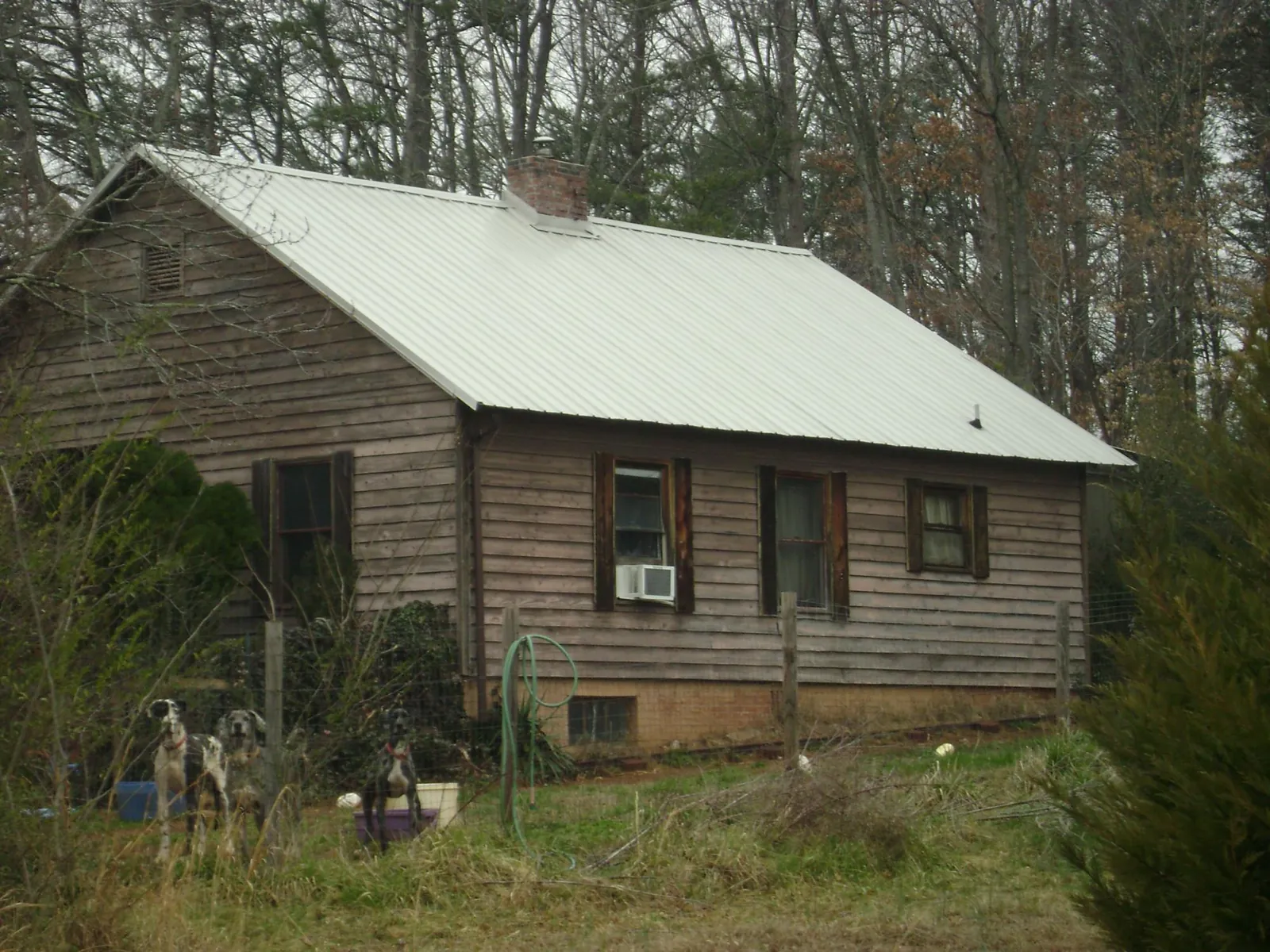 White metal roof on an old wood sided farmhouse, from a Asphalt Shingle Roof Repair job in Blairsville